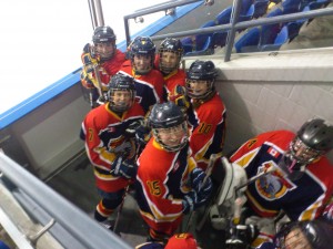 hockey players