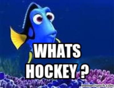 What's Hockey?