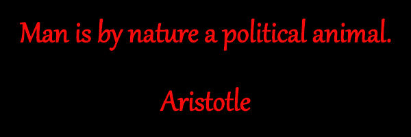 Man is a Political Animal - Aristotle